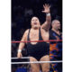 photo of professional wrestler king kong bundy
