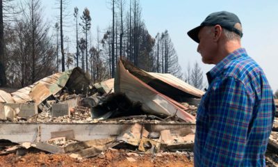 Photo of wildfire aftermath